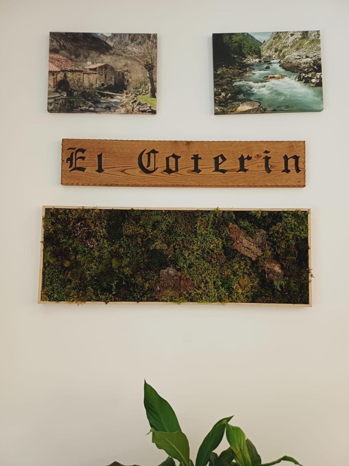 Hotel El Coterin Apartamentos Y Habitaciones Arenas De Cabrales Eksteriør bilde